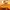 Bounty Hunter