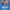 Lucha Maniacs